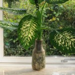 Kunstig Plante - Zebra Dieffenbachia 60cm høj