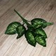 Kunstig plante - Zebra Dieffenbachia 115cm høj Kunstig plante - Zebra Dieffenbachia 115cm høj