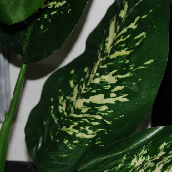 Kunstig plante - Zebra Dieffenbachia 115cm høj Kunstig plante - Zebra Dieffenbachia 115cm høj
