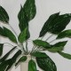 Kunstig Plante - Stueplante med store Grønne blade 65cm høj plante Kunstig Plante - Stueplante med store Grønne blade 65cm høj plante