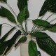 Kunstig Plante - Stueplante med store Grønne blade 65cm høj plante Kunstig Plante - Stueplante med store Grønne blade 65cm høj plante
