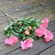 Kunstig plante - Store Rhododrendon Grene rosa 70cm høj Kunstig plante - Store Rhododrendon Grene rosa 70cm høj