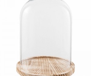 Glaskuppel og glasklokker