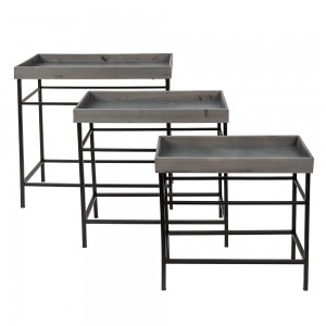 Plante bord H48cm Plante bord H48cm