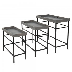Plante bord H48cm Plante bord H48cm