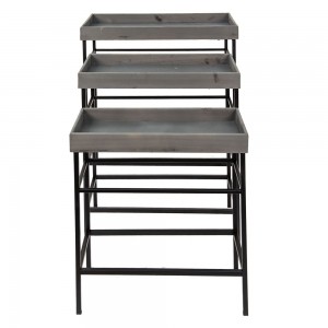 Plante bord H56cm Plante bord H56cm