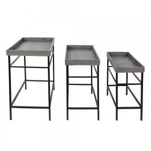Plante bord H56cm Plante bord H56cm