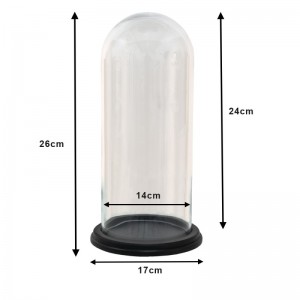 Glas kuppel med sort bund H25cm Glas kuppel med sort bund H25cm