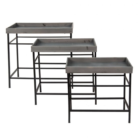 Plante bord H56cm Plante bord H56cm