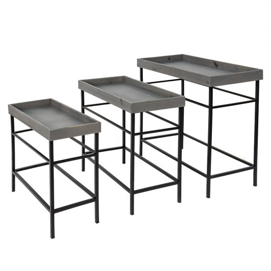 Plante bord H56cm Plante bord H56cm