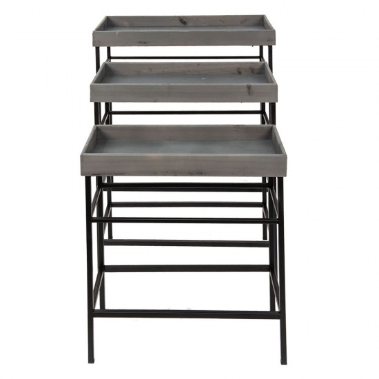 Plante bord H56cm Plante bord H56cm