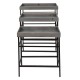 Plante bord H56cm Plante bord H56cm