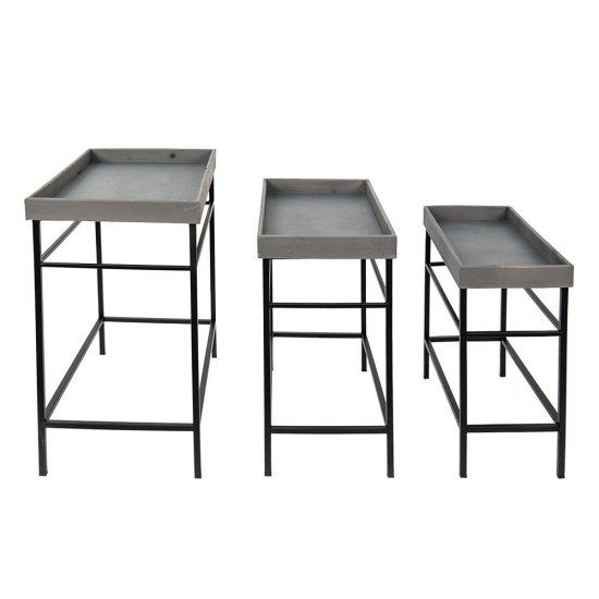 Plante bord H56cm Plante bord H56cm