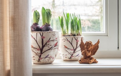 Ny Krukke serie - Birds in Nature -Godt Nytår - UDSALG