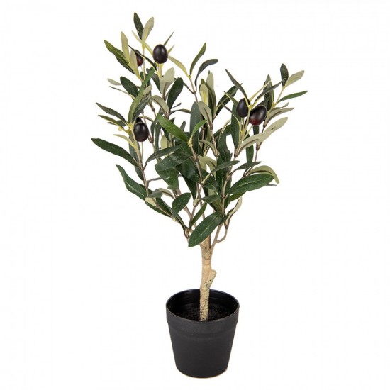 Oliventræ H50cm Oliventræ H50cm