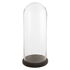 Glas kuppel 26x60 cm Glas kuppel 26x60 cm