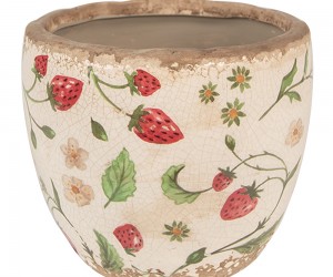 Krukker og planteskamler