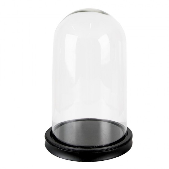 Glas kuppel med sort bund Ø18 H28 cm