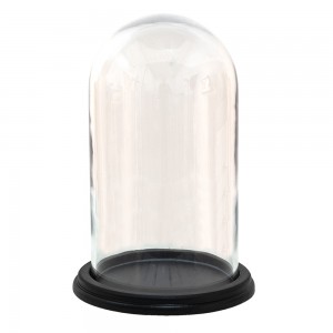 Glas kuppel 20x28 cm Glas kuppel 20x28 cm