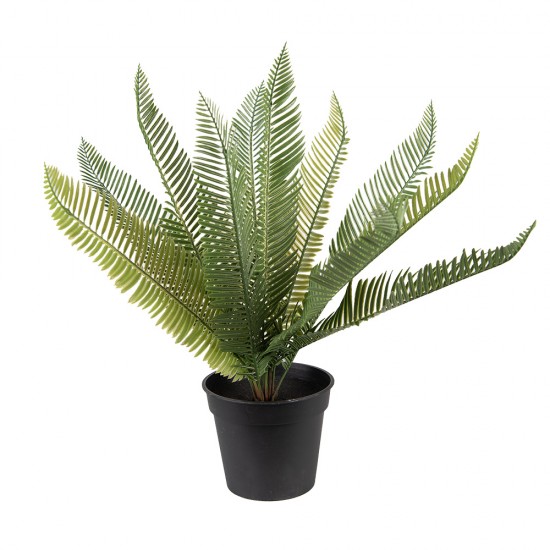 Dekoration kunstig plante 50x50x38 cm Dekoration kunstig plante 50x50x38 cm