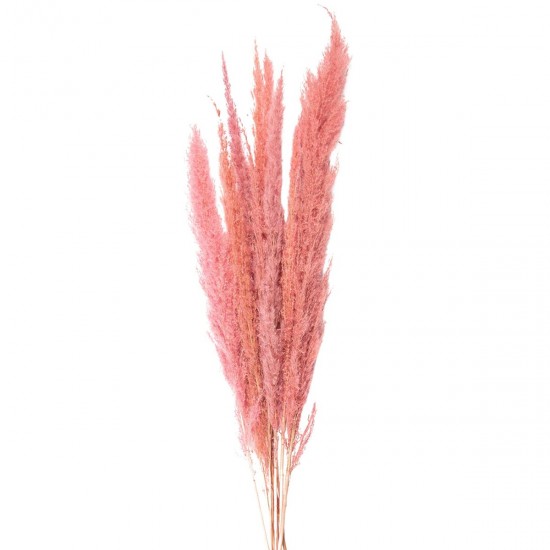 Tørrede blomster 100 cm (10)