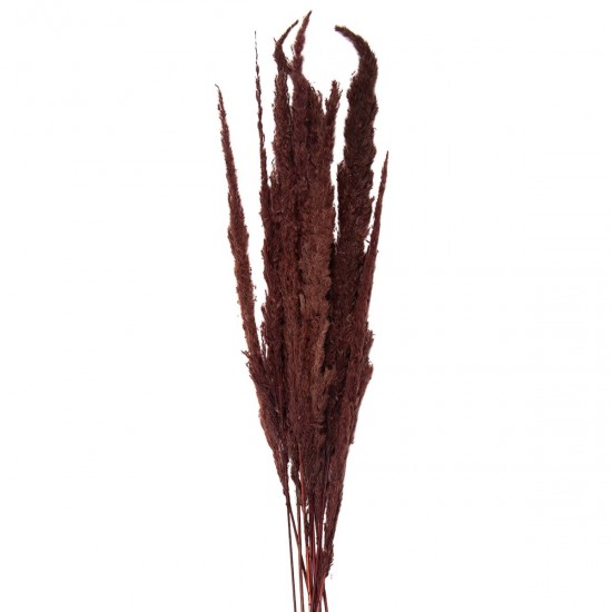 Tørrede blomster 100 cm (10)
