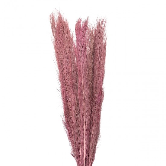 Tørrede blomster 100 cm (15)