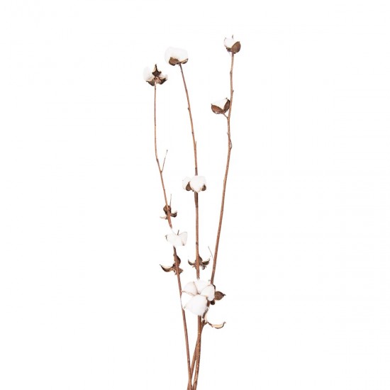 Tørrede blomster 80 cm (3)