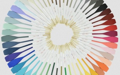 NU kan du bestille ALT fra Dixie Belle - Bestil i dag - og vi ligger en gave til din ordre