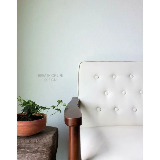 Drop Cloth 8oz = 236 ml Dixie Belle