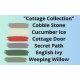 Cottage Door 236ml Kalkmaling Dixie Belle Cottage Door 236ml Kalkmaling Dixie Belle