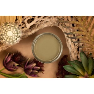 Grøn - Cactus 4oz = 118 ml Silk All-in-one Mineral maling