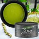 Grøn Lermaling Pistachio - Terra Clay Paint Dixie Belle 473 ml