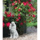 Havefigur Cockerspaniel Havefigur Cockerspaniel