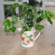 Kunstig Navel 34cm - Kunstig plante Kunstig Navel 34cm - Kunstig plante