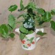 Kunstig Navel 34cm - Kunstig plante Kunstig Navel 34cm - Kunstig plante