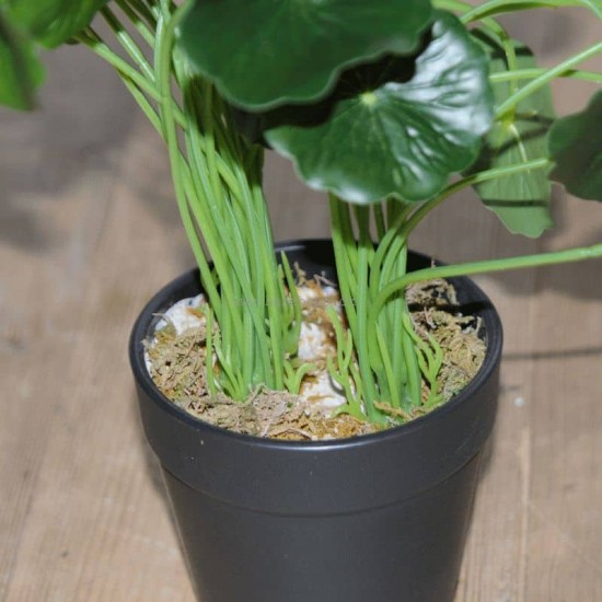Kunstig Navel 34cm - Kunstig plante Kunstig Navel 34cm - Kunstig plante