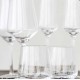 Vega Champagneglas 6 stk Vega Champagneglas 6 stk