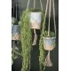 Makreme Hænger til blomster potte i tykt jute Makreme Hænger til blomster potte i tykt jute