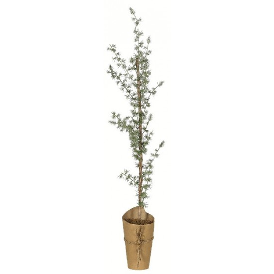 Cedertræ 60 cm - kunstig plante