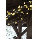 Udendørs Lyskæde 40 LED - mini Udendørs Lyskæde 40 LED - mini