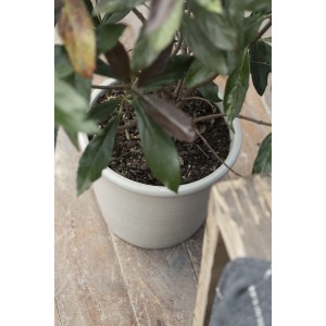 Potte Skjuler Halfdan konisk med tyk kant foroven sand H21.5cm Ø25cm Potte Skjuler Halfdan konisk med tyk kant foroven sand H21.5cm Ø25cm