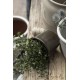 Skjuler Halfdan mocca H11cm Ø13cm Skjuler Halfdan mocca H11cm Ø13cm