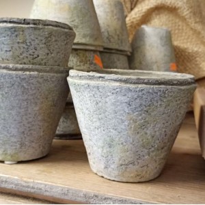 Patineret potte Grey Moss 11x9cm