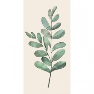 Serviet olivengren 16 stk pr pakke