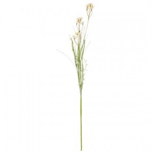 Blomst hvide/orange knopper