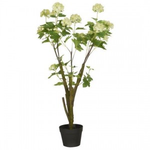 Sneboldbusk i potte 104 cm Sneboldbusk i potte 104 cm