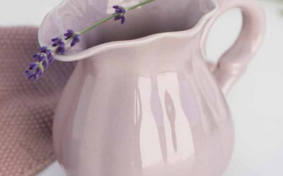 NYT Mynte Katalog 2016