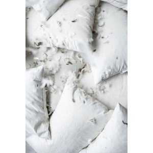 Pudefyld 50x50 cm Dun 550 gram Pudefyld 50x50 cm Dun 550 gram