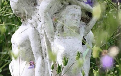 Hvilken Krukke kan du Bedst lide?